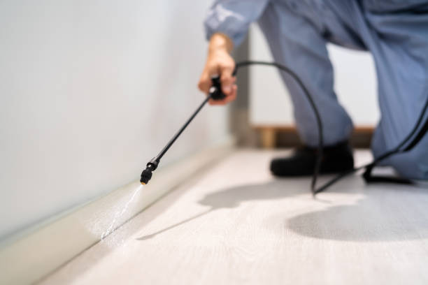 Licensed Termite Control service in Austintown, OH - Nex Pest Control