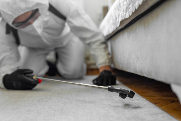 Professional Termite Control technician working in Austintown, OH