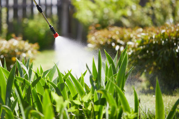 24/7 Emergency Termite Control experts in Austintown, OH