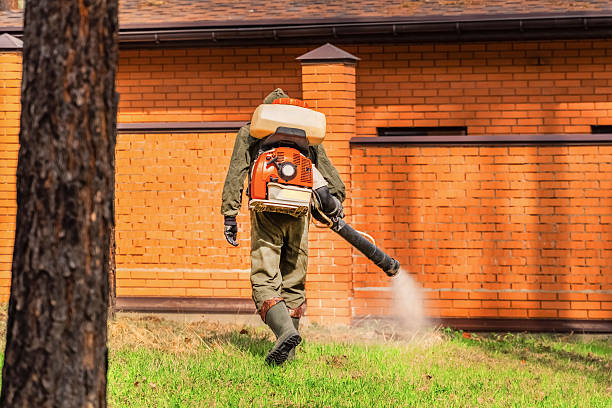 Trusted Mosquito Control service in Austintown, OH - Nex Pest Control